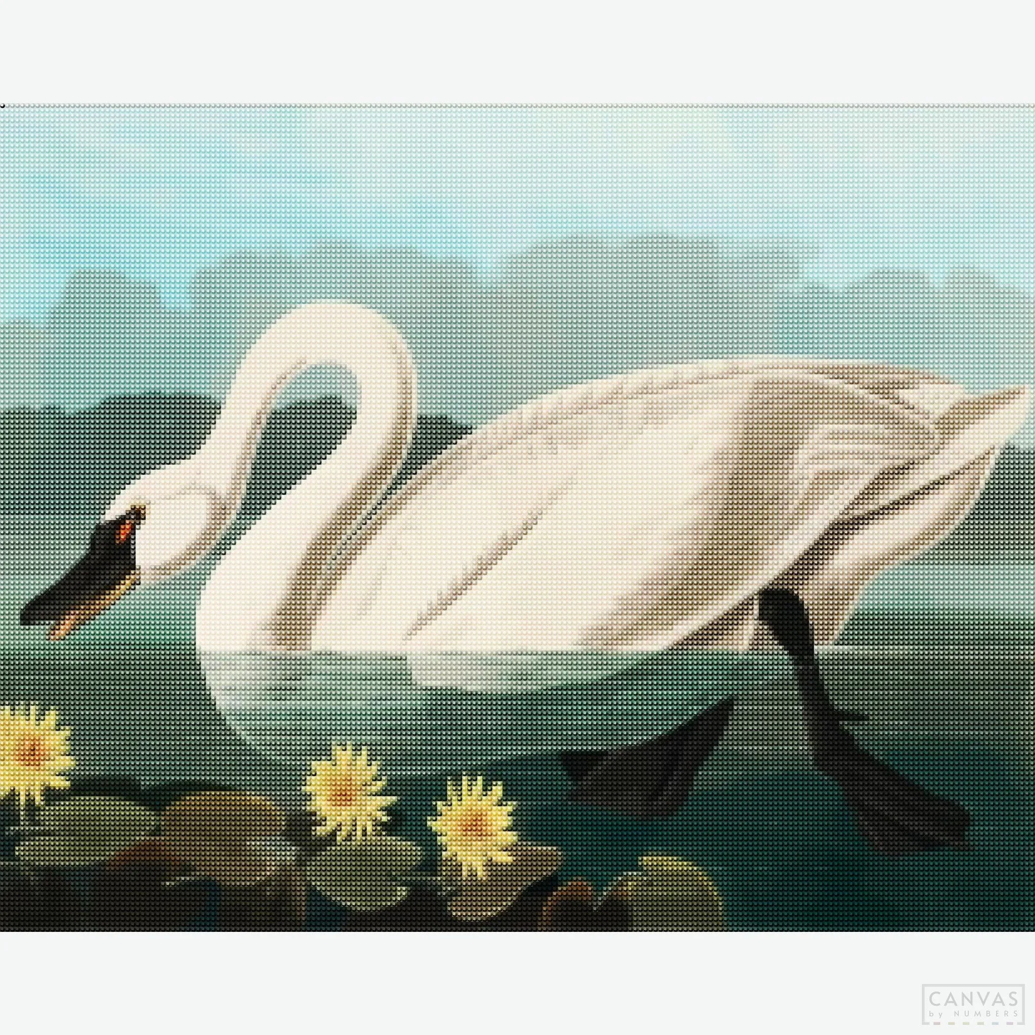 Common American Swan - Diamond Painting