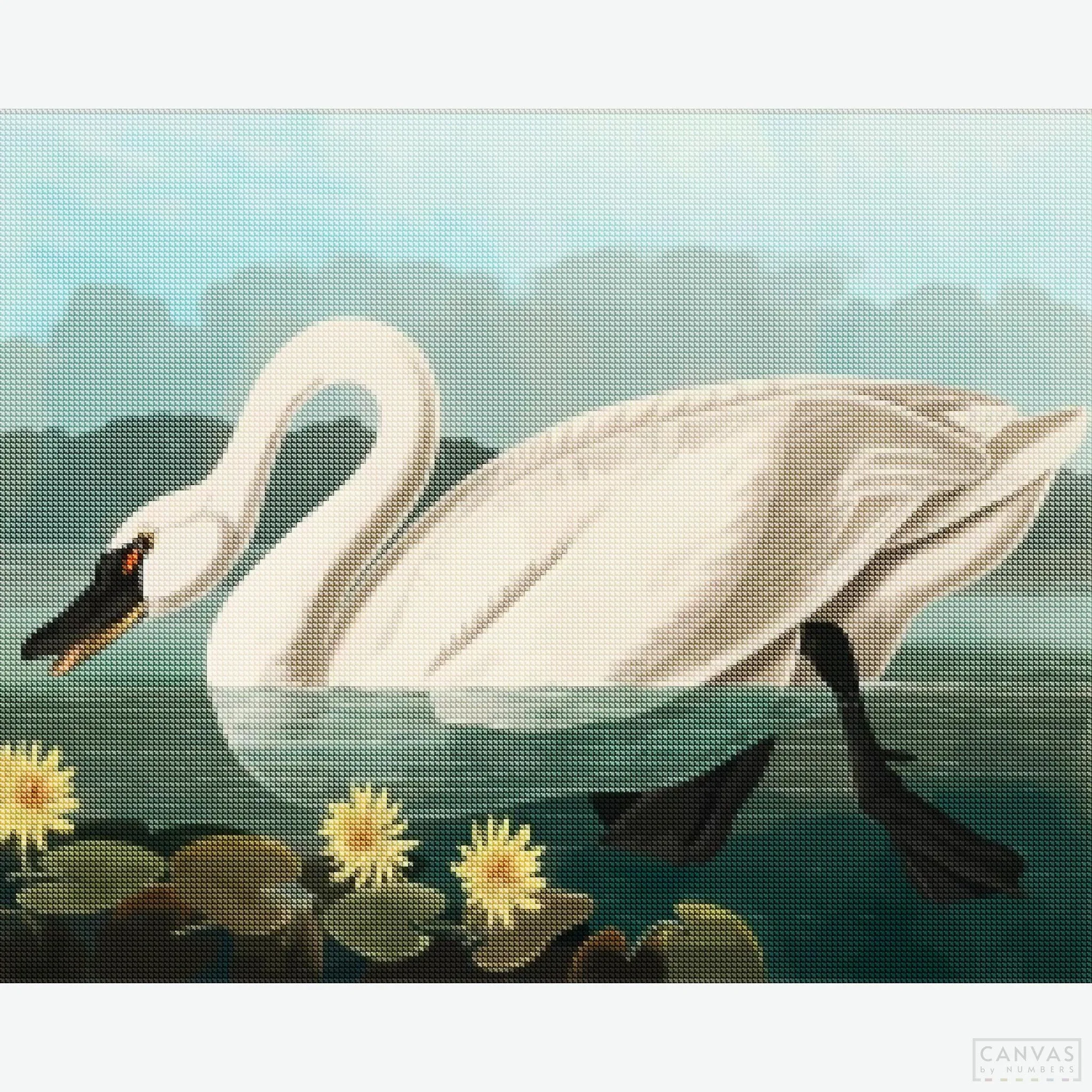 Common American Swan - Diamond Painting