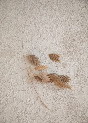 Desert Bone // #0151 I Mini Painting