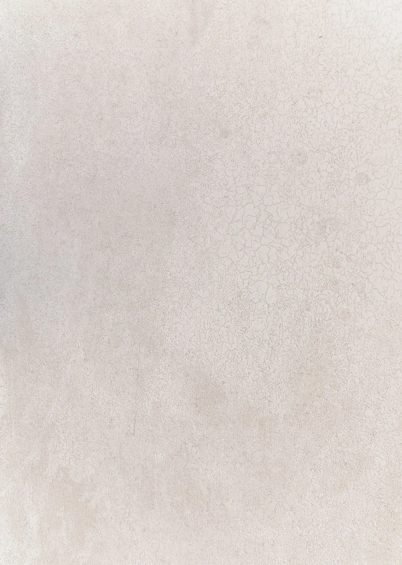 Desert Bone // #0151 II Mini Painting