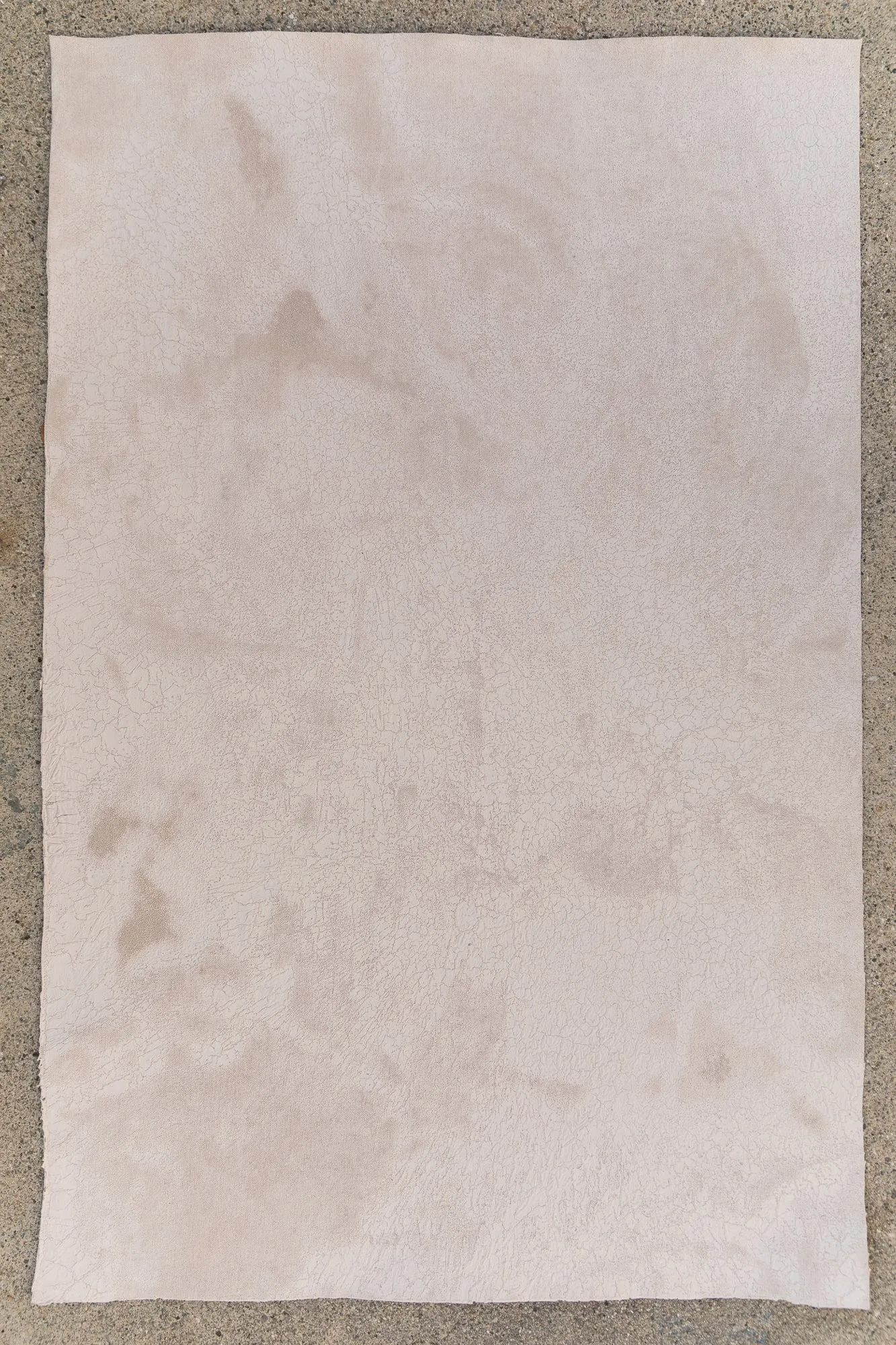 Desert Bone // #0151 IV Mini Painting