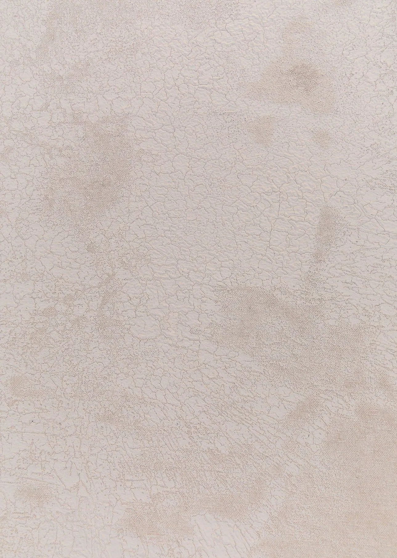 Desert Bone // #0151 IV Mini Painting