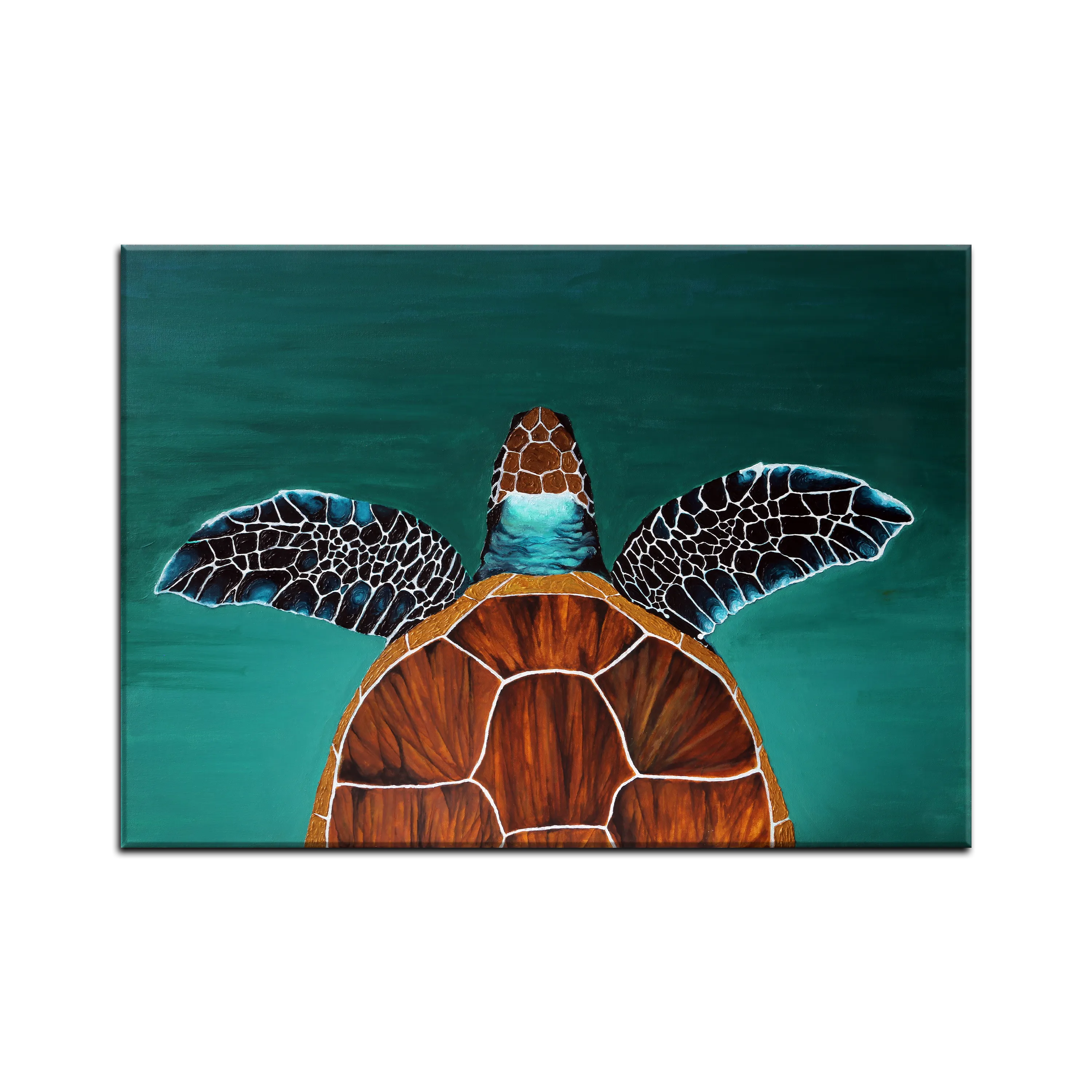 Turtle Painting
